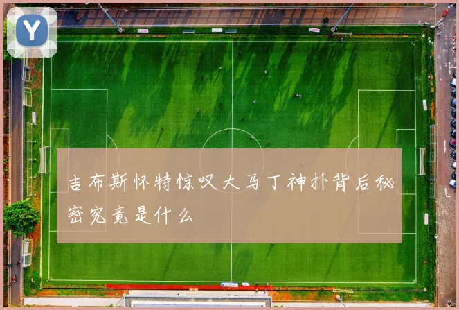 吉布斯怀特惊叹大马丁神扑背后秘密究竟是什么